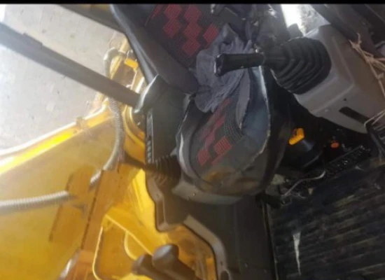 image de profil