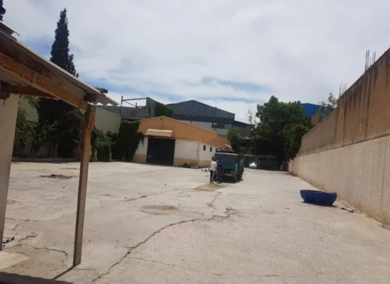 image de profil