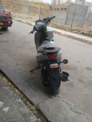 image de profil