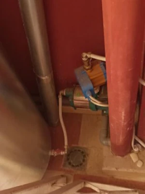image de profil