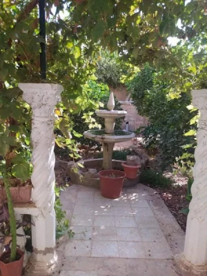 image de profil