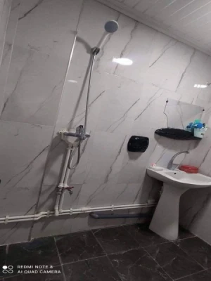 image de profil