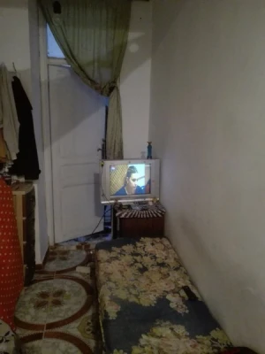 image de profil