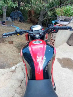 image de profil