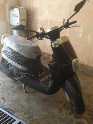 image de profil