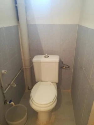 image de profil