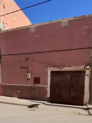 image de profil