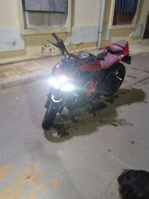 image de profil