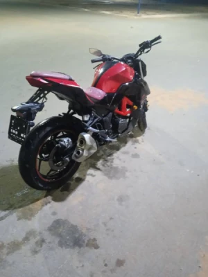 image de profil