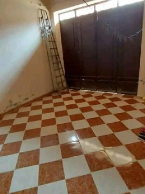 image de profil