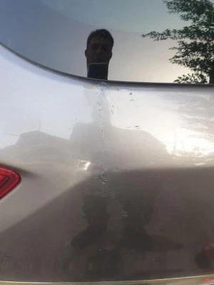 image de profil