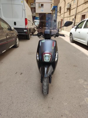 image de profil