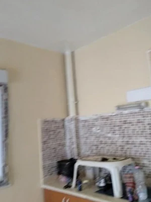 image de profil