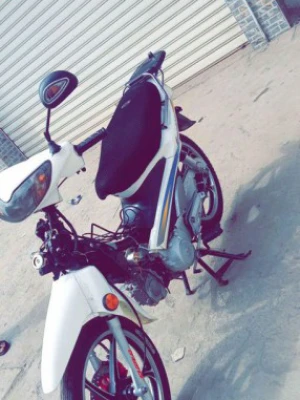 image de profil