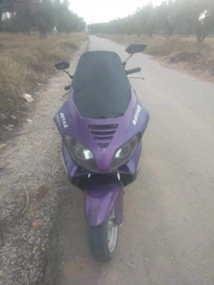 image de profil