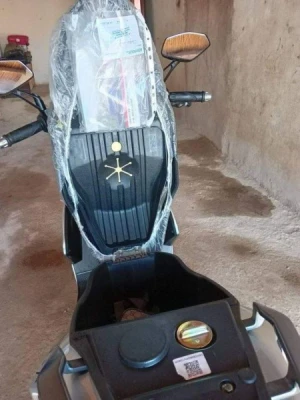 image de profil