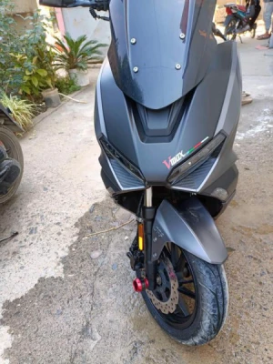 image de profil