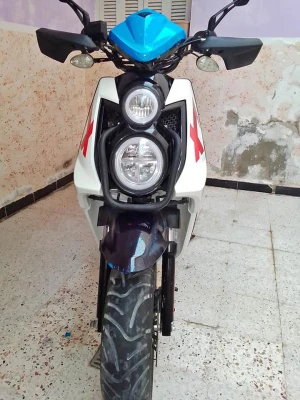 image de profil