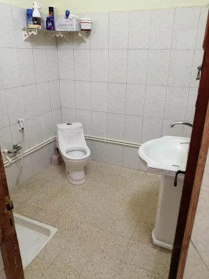 image de profil