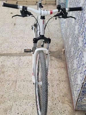 image de profil
