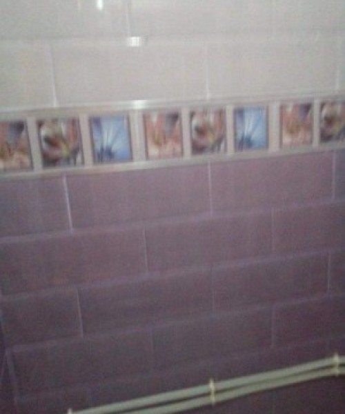 image de profil
