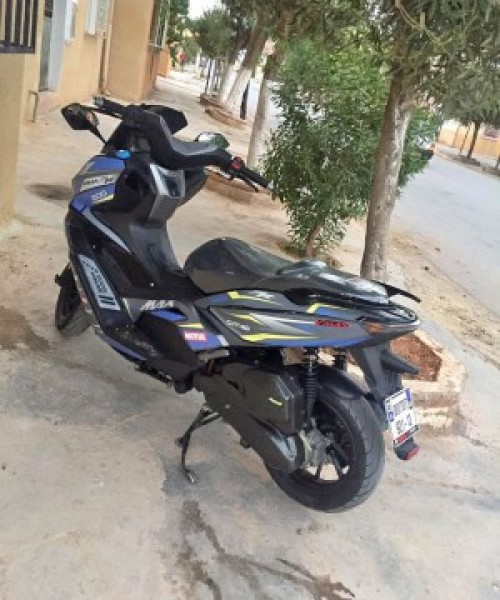 image de profil
