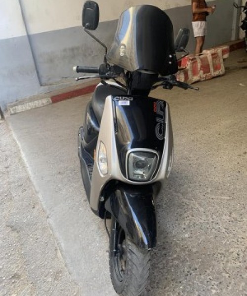 image de profil