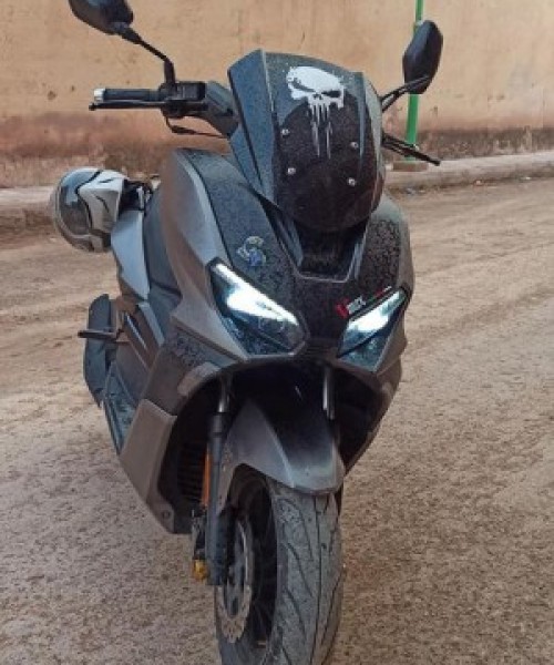 image de profil